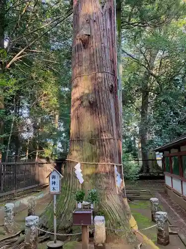 一言主神社の自然