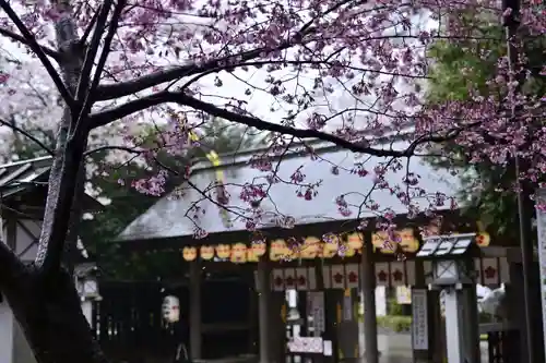 櫻木神社(千葉県)