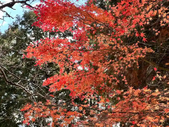 箸蔵寺(徳島県)