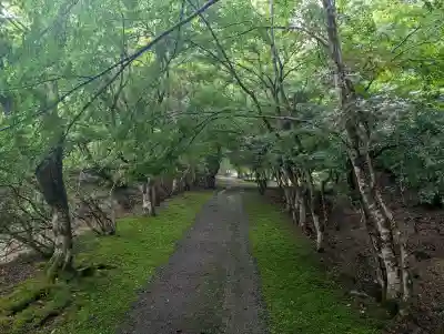金剛院(京都府)