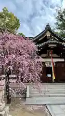 屯倉神社(大阪府)