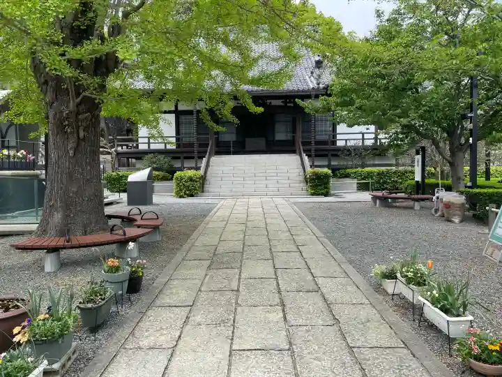 浄土寺の{uncategorized: "未分類", other: "その他", undefined: "問題あり", building: "その他建物", grave: "お墓", sacred_gate: "鳥居", guardian: "狛犬", statue: "像", buddha: "仏像", history: "歴史", nature: "自然", garden: "庭園", animal: "動物", pagoda: "塔", temizu: "手水舎", mountain_gate: "山門・神門", sanctuary: "本殿・本堂", subordinate: "末社・摂社", art: "芸術", scenery: "景色", jizo: "地蔵", ema: "絵馬", goshuin: "御朱印", omikuji: "おみくじ", items: "授与品その他", amulet: "お守り", goshuincho: "御朱印帳", eats: "食事", festival: "お祭り", votive_dance: "神楽", shichigosan: "七五三参", wedding: "結婚式", experience: "体験その他", initially: "初詣", around: "周辺", anti_infection: "感染症対策"}