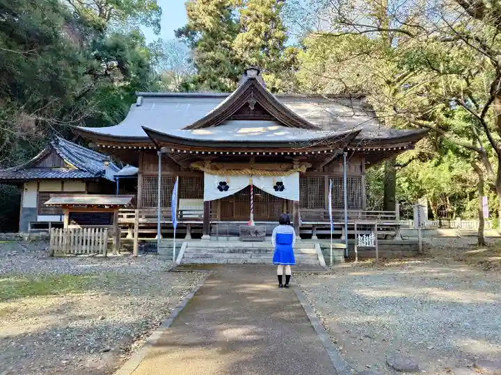 秦神社の本殿・本堂