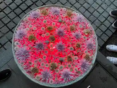 行田八幡神社の手水舎