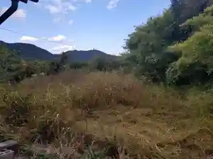 光照寺 真宗大谷派(お東さん)の周辺(2021年11月14日(日) 06時25分32秒投稿)