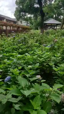 藤森神社(京都府)