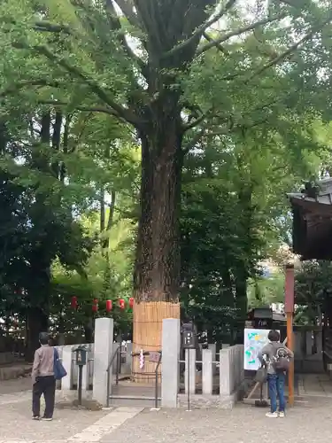 田無神社(東京都)