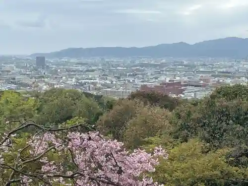 伏見稲荷大社の{uncategorized: "未分類", other: "その他", undefined: "問題あり", building: "その他建物", grave: "お墓", sacred_gate: "鳥居", guardian: "狛犬", statue: "像", buddha: "仏像", history: "歴史", nature: "自然", garden: "庭園", animal: "動物", pagoda: "塔", temizu: "手水舎", mountain_gate: "山門・神門", sanctuary: "本殿・本堂", subordinate: "末社・摂社", art: "芸術", scenery: "景色", jizo: "地蔵", ema: "絵馬", goshuin: "御朱印", omikuji: "おみくじ", items: "授与品その他", amulet: "お守り", goshuincho: "御朱印帳", eats: "食事", festival: "お祭り", votive_dance: "神楽", shichigosan: "七五三参", wedding: "結婚式", experience: "体験その他", initially: "初詣", around: "周辺", anti_infection: "感染症対策"}