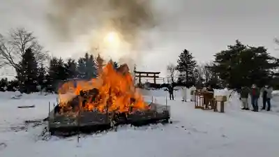 美瑛神社の体験その他