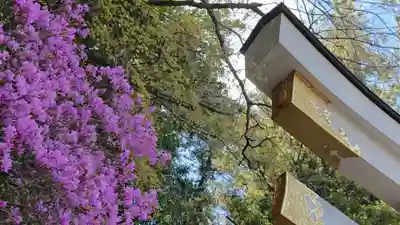 宝登山神社のその他建物