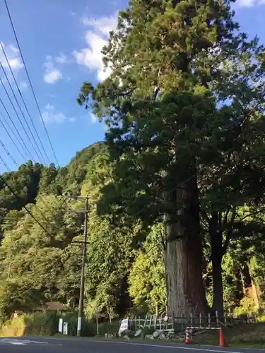 室生龍穴神社の自然