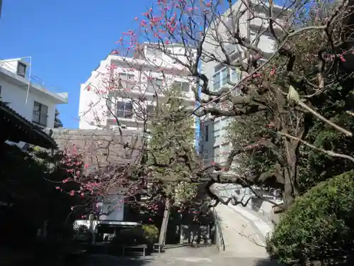 妙円寺(東京都)