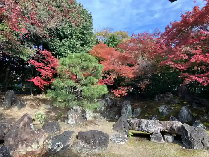 圓徳院(京都府)
