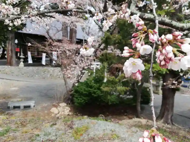 高司神社〜むすびの神の鎮まる社〜の自然