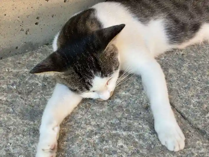 お松大権現(徳島県)