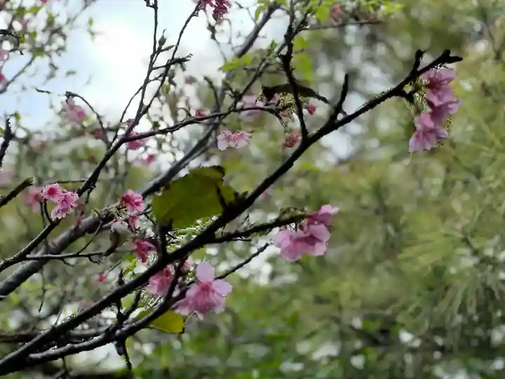 出雲大社沖縄分社の自然