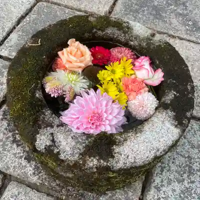 勝林寺の手水舎