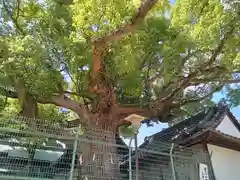 踞尾八幡神社(大阪府)