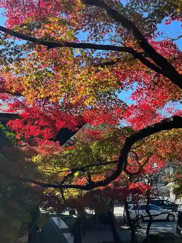 鎌倉宮(神奈川県)