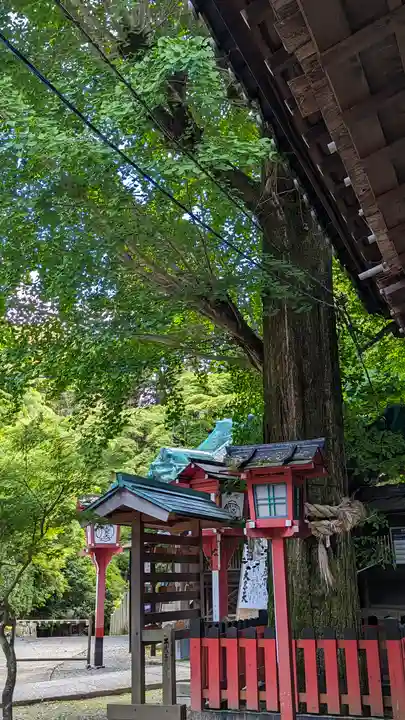 松ヶ崎大黒天 妙圓寺(妙円寺)(京都府)