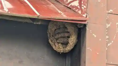 中更別神社の動物