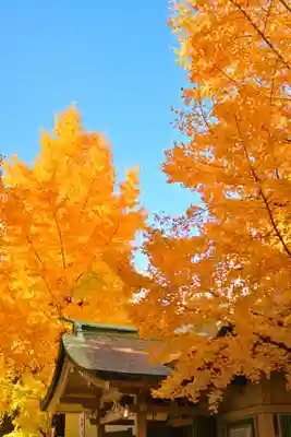銀杏岡八幡神社(東京都)