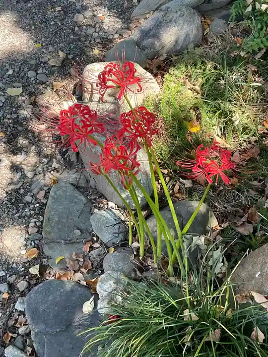 竜門寺(群馬県)