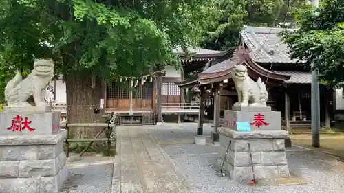 印内八坂神社の狛犬