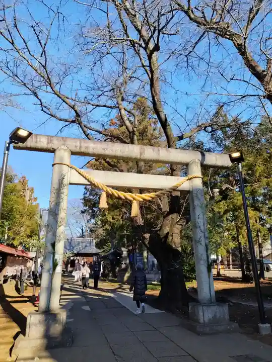 大井氷川神社(埼玉県)
