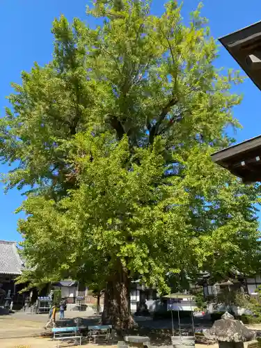 地蔵寺の建物その他