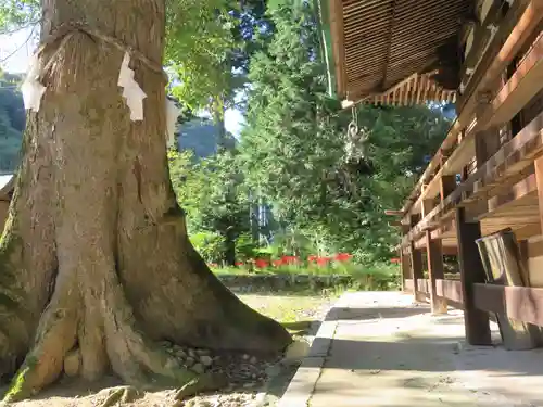 賀羅加波神社の自然