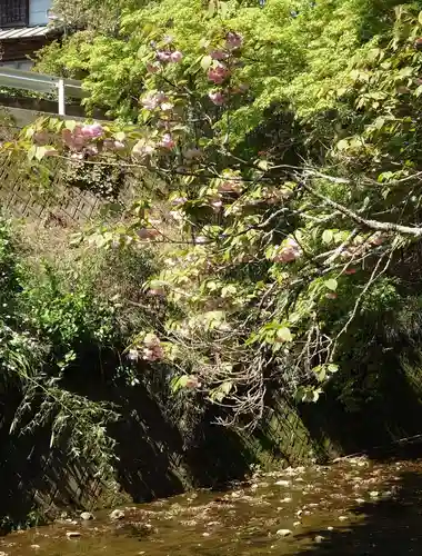 須山浅間神社(静岡県)