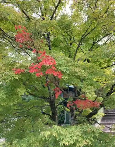 真正極楽寺（真如堂）(京都府)