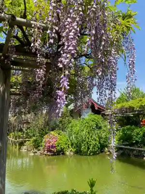 亀戸天神社(東京都)