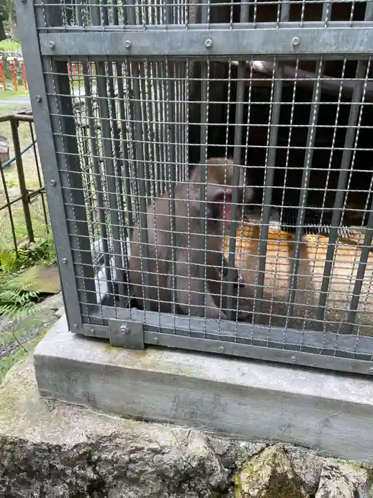 日吉大社(滋賀県)