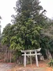 高龗神社(新潟県)