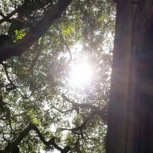 沼尾神社のその他建物