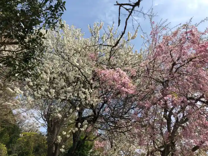 光明寺(馬木不動尊)の自然