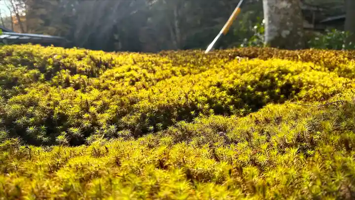 宝積山光前寺(長野県)