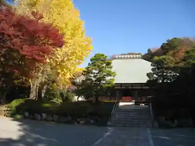 浄妙寺(神奈川県)