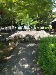 鑁阿寺(栃木県)