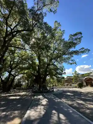 大麻比古神社(徳島県)