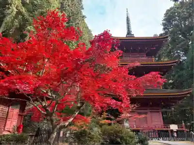 長命寺(滋賀県)