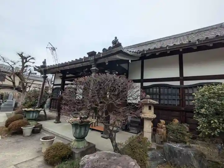 慈照院(東京都)