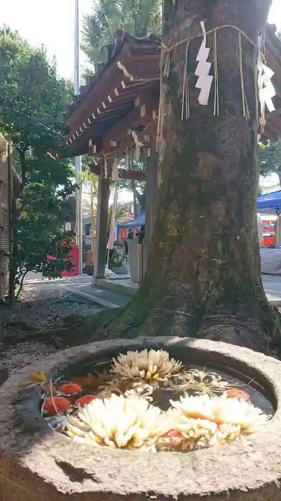 蛇窪神社(東京都)
