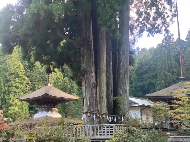金剛三昧院(和歌山県)