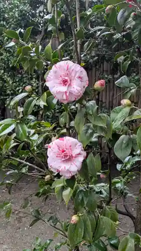 城南宮(京都府)