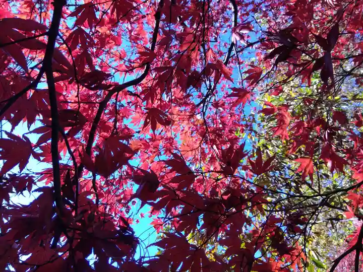 足羽山招魂社(福井県)