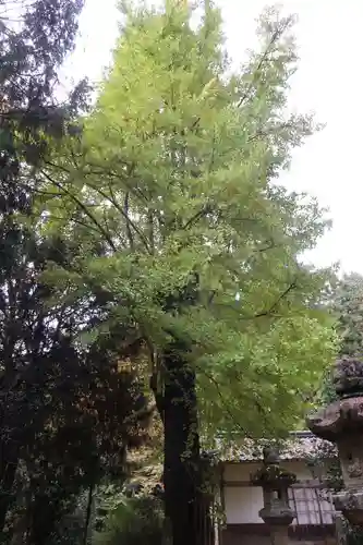 大洗磯前神社(岐阜県)