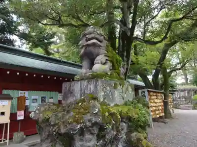 大國魂神社の狛犬
